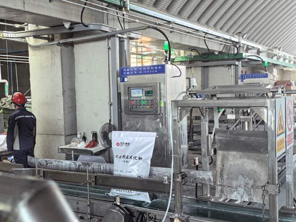 Plant operator guiding automated bag neck clamp on the pneumatic filling chute for Grasim caustic soda flakes