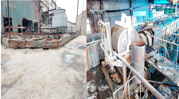 Full container load (FCL) of sodium hydroxide bags being loaded for international shipping, inquiring about global delivery options and updated price list.