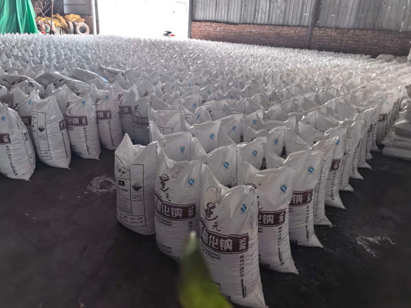 Wide floor view of upright white PP bags containing 99% industrial caustic soda in distribution center